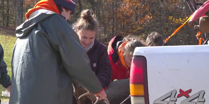 DWR to conduct mandatory CWD testing for deer killed in some counties Saturday