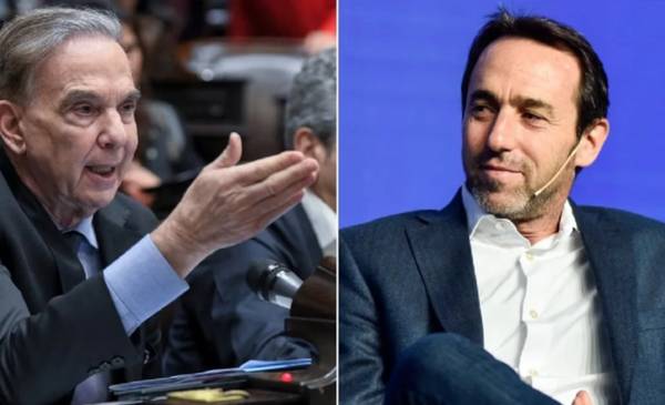 Picante cruce en redes entre Pichetto y Galperín por la regulación a Shein y Temu