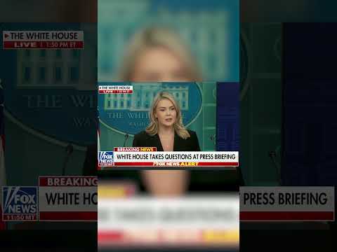 Karoline Leavitt Says President Trump Was Just Being Honest Calling Reporter Piggy