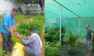 Residents flock to Guindy Eco Park’s horticulture hub for affordable, quality plants