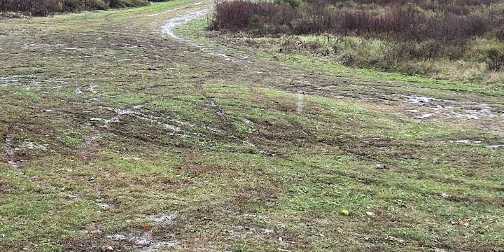 Mayor Greenberg says park ranger program is curbing vandalism, theft at city parks