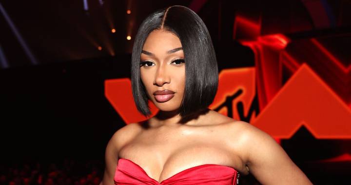 Megan Thee Stallion’s Defamation Trial, Explained