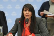 Tensión en el Congreso: la oposición quiere impedir que asuma una senadora electa de LLA