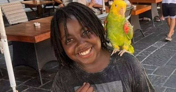 'XL Bully' attack: Young girl's 5 haunting words to mum as dog remains on loose