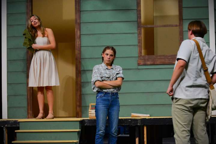 Wagner College Theatre revives William Inge’s classic ‘Picnic’: How to get 10% off