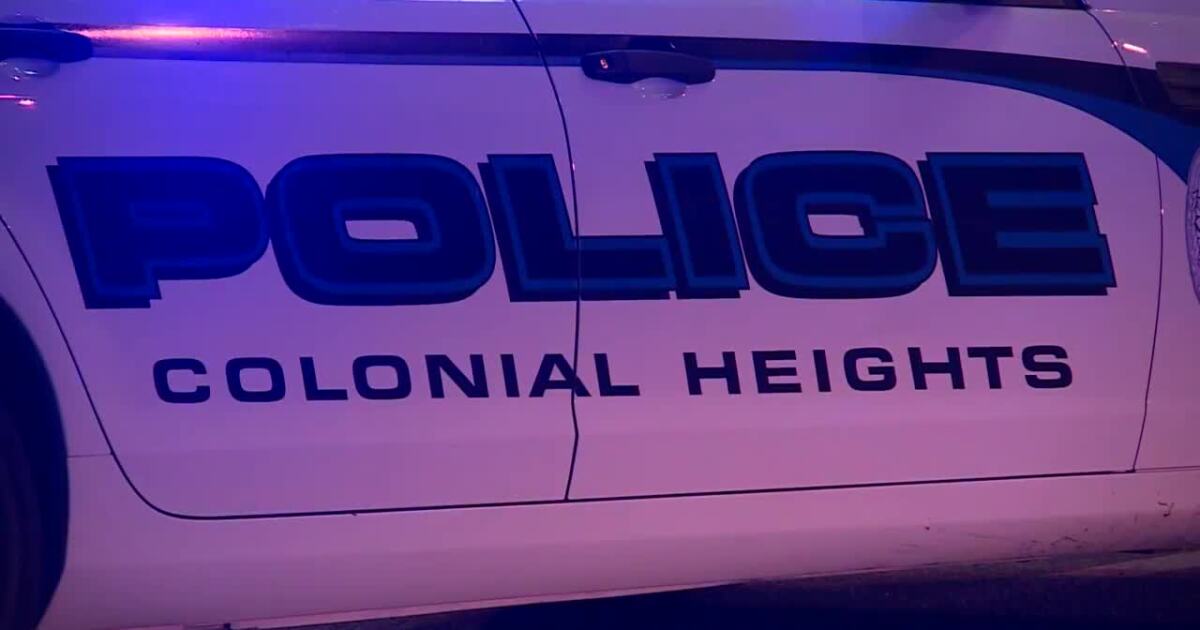 2 killed, 2 hurt after speeding Tesla hits tree, catches fire and ignites Petersburg home, police say