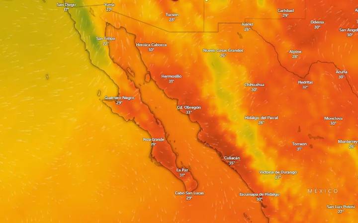 Clima en La Paz y Los Cabos: 15 noviembre 2025