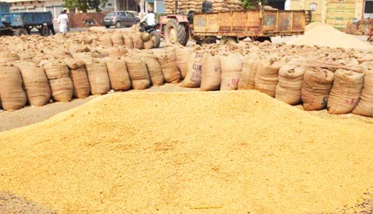 Kharif Paddy Procurement To Begin From Nov 20
