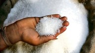 Govt to consider industry’s demand to hike  minimum selling price of sugar: Joshi