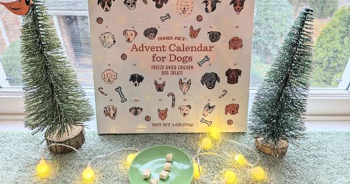 Fishing lures. Pet toys. Art supplies. Advent calendars offer personalized ways to count down |