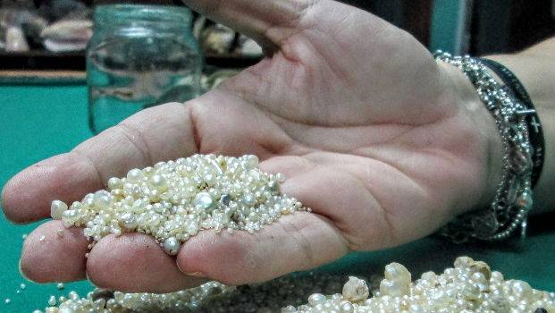 Anuncian que repoblarán la isla de Cubagua con su riqueza perlífera