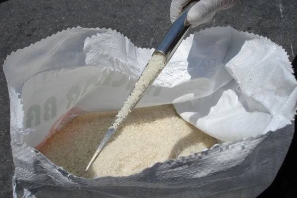 Crisis amenaza cosecha de maíz