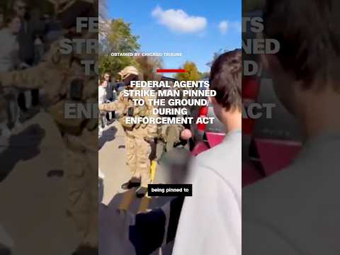 Federal agents strike man pinned to the ground during enforcement act