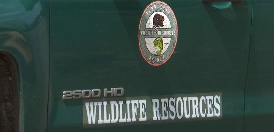 TN man convicted of killing deer on prison property