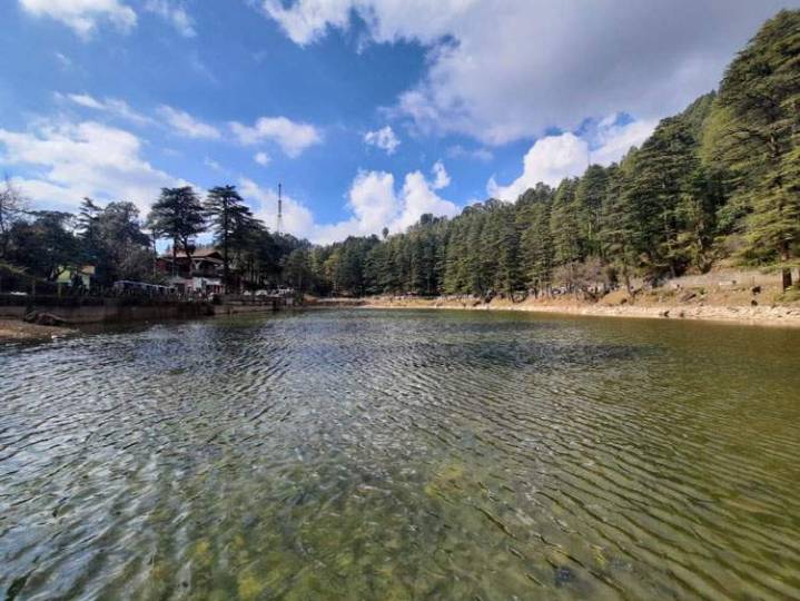 This Beautiful Lake in Kangra is Surrounded by Lush Green Deodar...