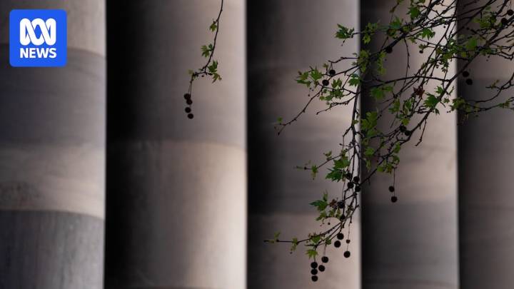 Abortion legislation voted down in South Australian Parliament