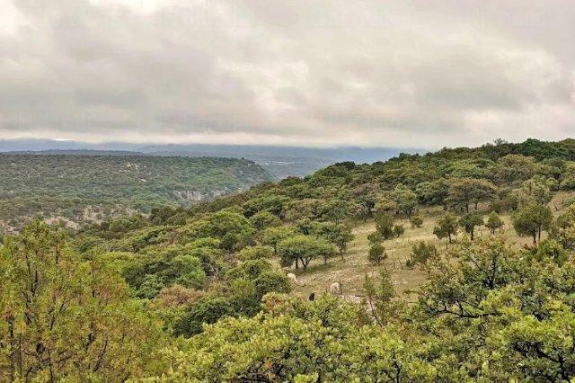 Profepa capacita a nuevos guardianes de la Sierra del Laurel