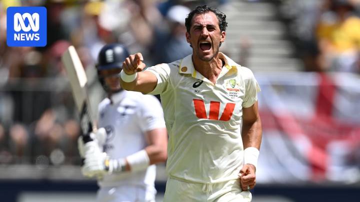 Mitchell Starc registers career-best figures as England's 'unacceptable' batting style backfires