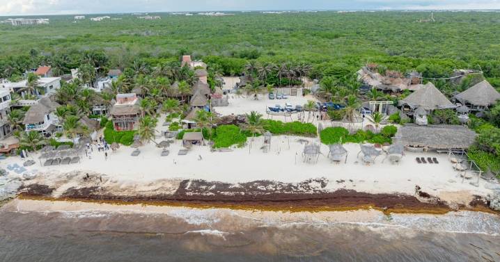 El escenario de Tulum no es nada alentador para los comerciantes; piden respiro económico que devuelva la atención al público