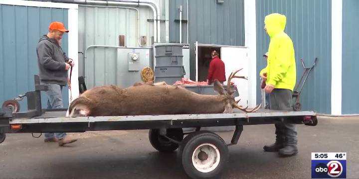 Hunters see mixed activity as gun deer season continues