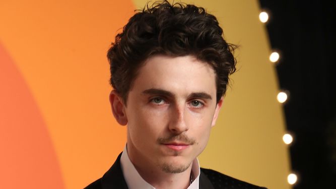 My dream is to meet a pissed, middle-aged British woman. By Timothée Chalamet