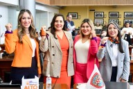 Con iniciativa de Nancy “La China” Frías, Diputadas de distintos partidos impulsan reforma histórica para que el Estado acompañe a mujeres víctimas de violencia tras salir de refugios”