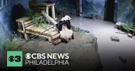 National museums, zoo begin to reopen after government shutdown