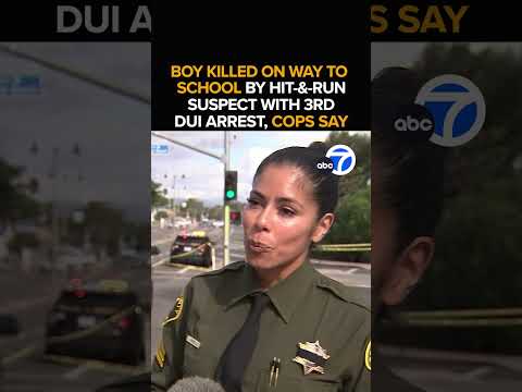 Boy hit and killed by hit-and-run suspect with 3rd DUI arrest