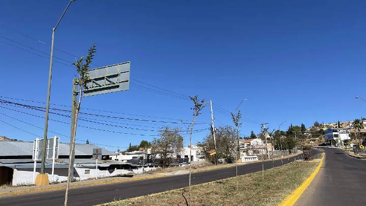 Instalan riego por goteo en camellón rumbo a la Puerta del Tiempo para garantizar crecimiento de árboles atmosféricos