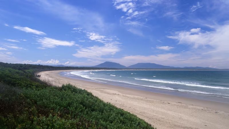 Turista muere tras ataque de un tiburón en Australia