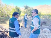 SAG sigue combatiendo a la mosca con 600 trabajadores y más de 3.500 millones de pesos