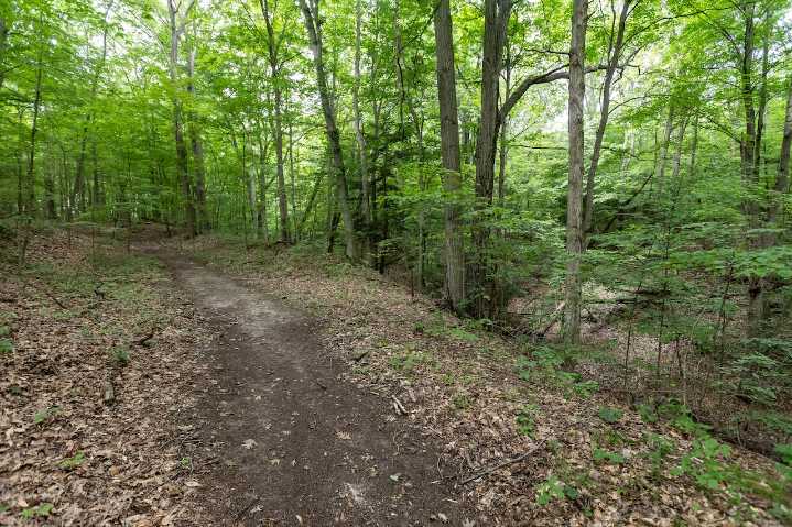 Ex-staffer for Trump’s NJ ally says she was attacked. The feds say she’s lying.