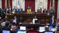 El Senado fijó fecha de nueva sesión y prepara la jura de los legisladores electos