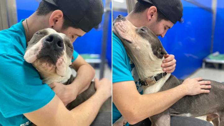 Michigan Stray Pup Overcomes Neglect To Find The Love He Deserves