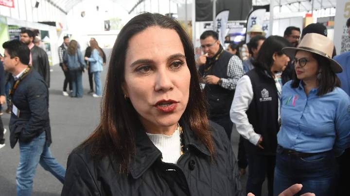 Gobierno de Irapuato ha sufrido intentos de vulneración; sistemas de ciberseguridad lo evitaron