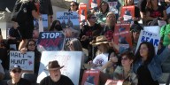 Florida black bear hunt protest draws hundreds to state capitol
