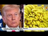 Trump's Tariff Authority in Question