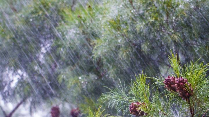 Low-pressure system brewing in Bay of Bengal; Tamil Nadu braces for heavy rain