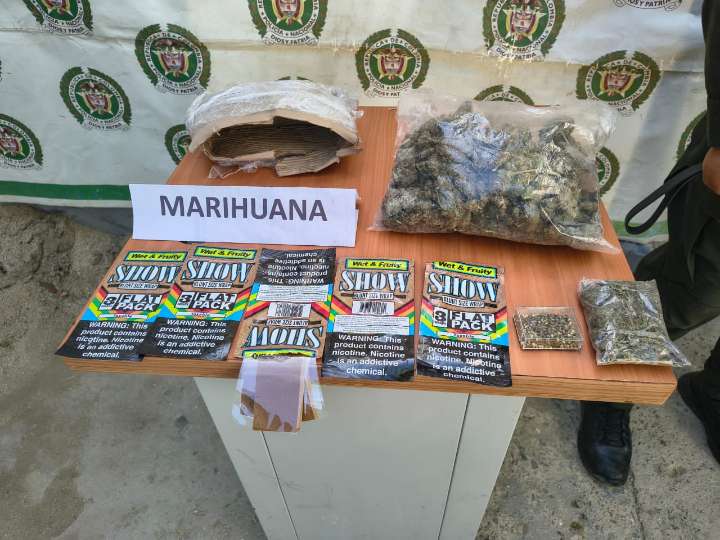 ¡Fox vuelve a destacar! Perro policía detecta 500 dosis de marihuana en Santa Marta