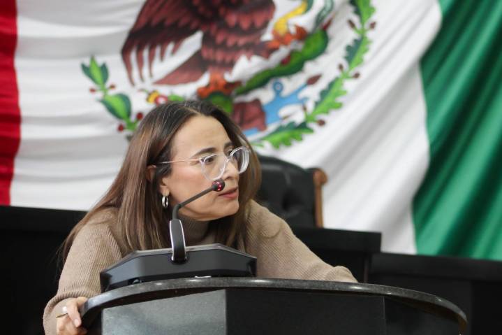 Piden rendición de cuentas en el proyecto Centinela