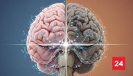 La edad en que cerebro entra en "envejecimiento" según nuevo estudio