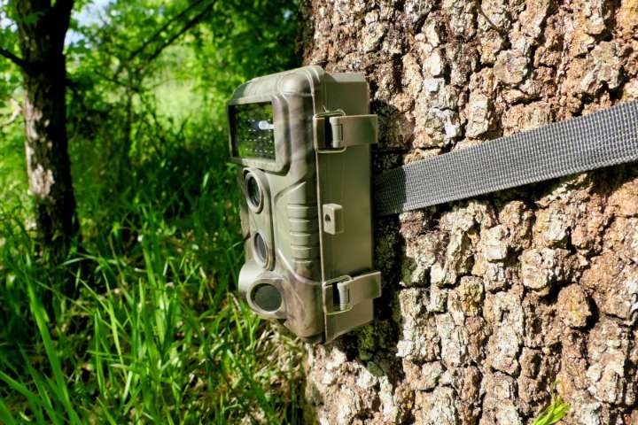 Kansas wants input on trail cameras on public land