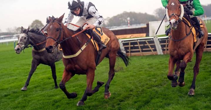 Electric Mason brings up 462-1 treble for Chris Gordon and son Freddie at Haydock Park