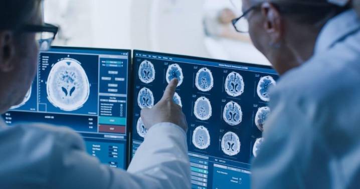 Las 5 etapas clave del cerebro humano según la edad: 9, 32, 66 y 83 años