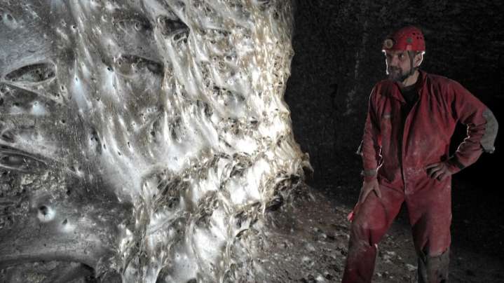 Researchers discover what could be the world's largest spiderweb