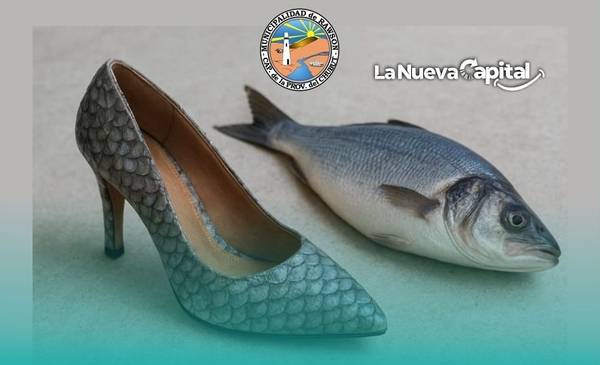 Rawson realizará una nueva edición del taller de curtido de piel de pescado patagónico