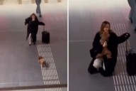 Toy Poodle Reunites With Owner—People Can’t Cope With Her Reaction