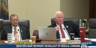 Nebraska lawmakers hear testimony on rollout of medical cannabis