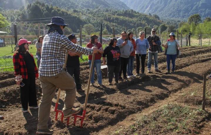 Autoridades destacan fortalecimiento del sector agrícola en la región y el país