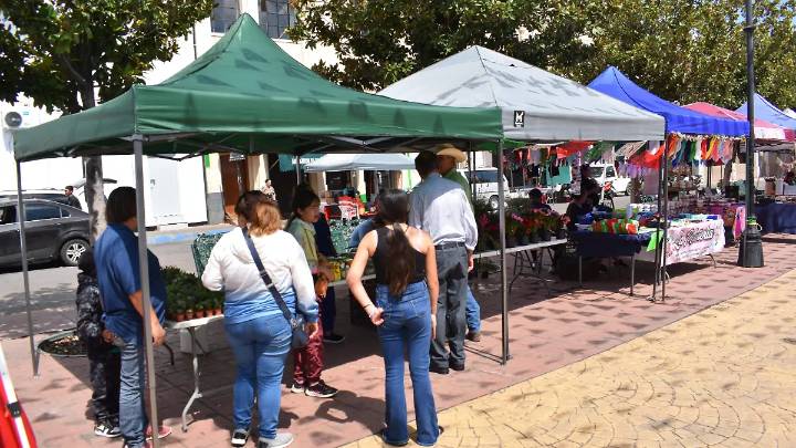 Programa Mujer Emprende arranca con éxito en el centro de Parral